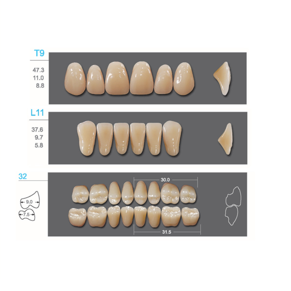 Kaifeng - зубы акриловые, верхние T9, цвет B3, коробка 4х28 шт - фото 2