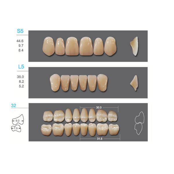 Kaifeng - зубы акриловые, верхние S5, цвет A1, коробка 4х28 шт - фото 0