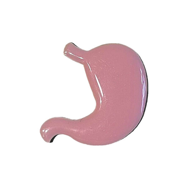 Значок "Желудок" - фото 0