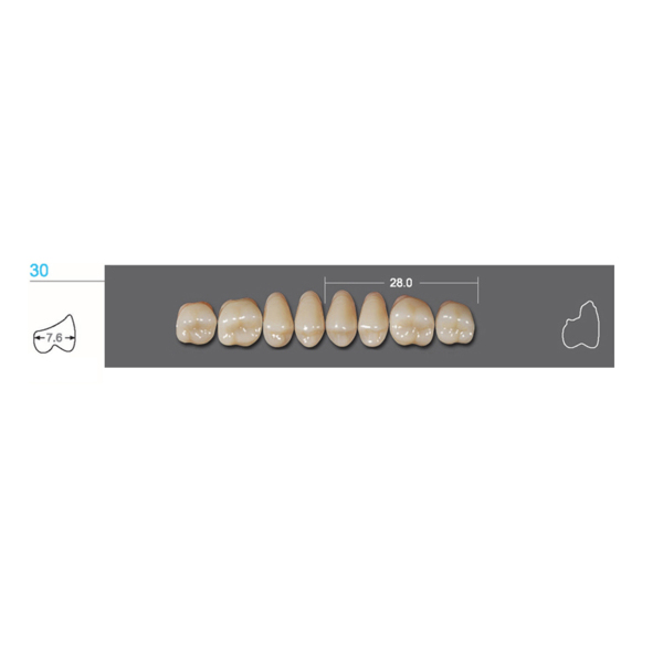 Kaifeng - зубы акриловые, верхние жевательные, цвет C1, размер 30U, коробка 12х8 шт - фото 0