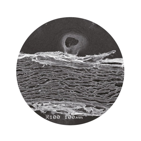 Мембрана коллагеновая OSSTEM OSSMem, резорбируемая, для направленной костной регенерации, жесткая, 30х40 мм, 1 шт - фото 1