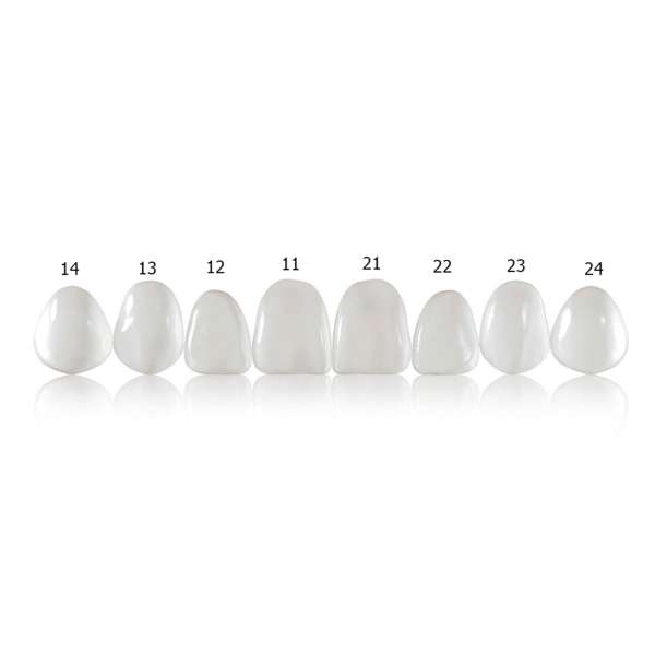 Componeer Set upper - виниры для верхней челюсти (12), размер M, цвет Enamel Universal, 2 шт - фото 1