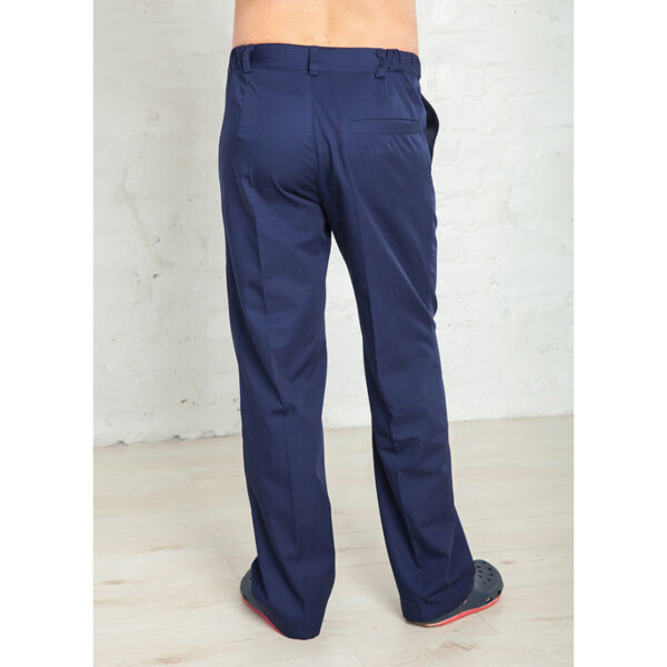 Брюки мужские WW710, синий, 46 - фото 1