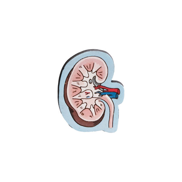 Значок "Почка" - фото 0