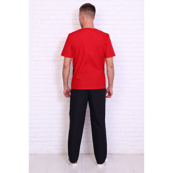 Брюки мужские 239ТСК, черный, 46 - фото 1