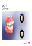 Обложка брошуры для VITA MFT 3D-MASTER - базовые жевательные зубы из полимерного материала (цвет и форма на выбор), 1 шт