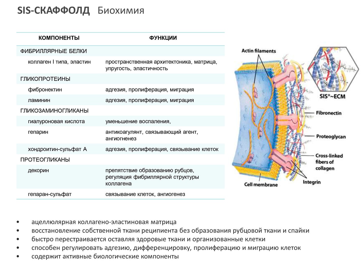 Membrane Matrix - мембрана внеклеточная (резорбируемая), 25х25 мм → купить  в Москве, Санкт-Петербурге с доставкой по России — цена 6380р