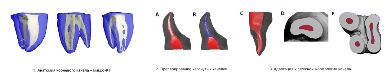 SAF файл-3 (1)