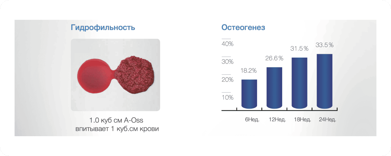 свойства ксенографта бычьего OSSTEM A-Oss