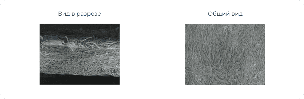 Мембрана коллагеновая OSSTEM OssGuid в разрезе