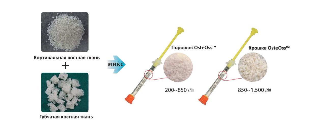 состав порошок кортикальный OSSTEM OsteOss