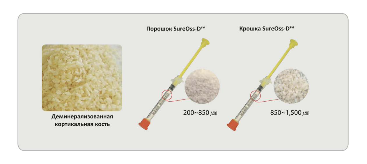 состав Порошок кортикальный OSSTEM SureOss-D
