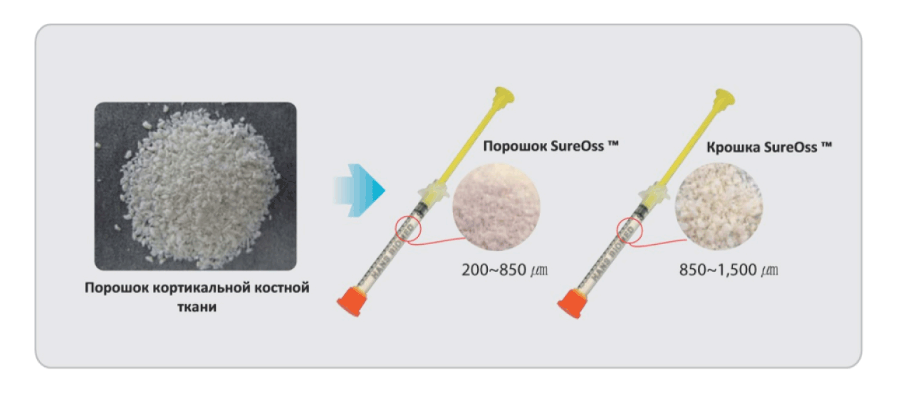 состав порошок кортикальный OSSTEM SureOss