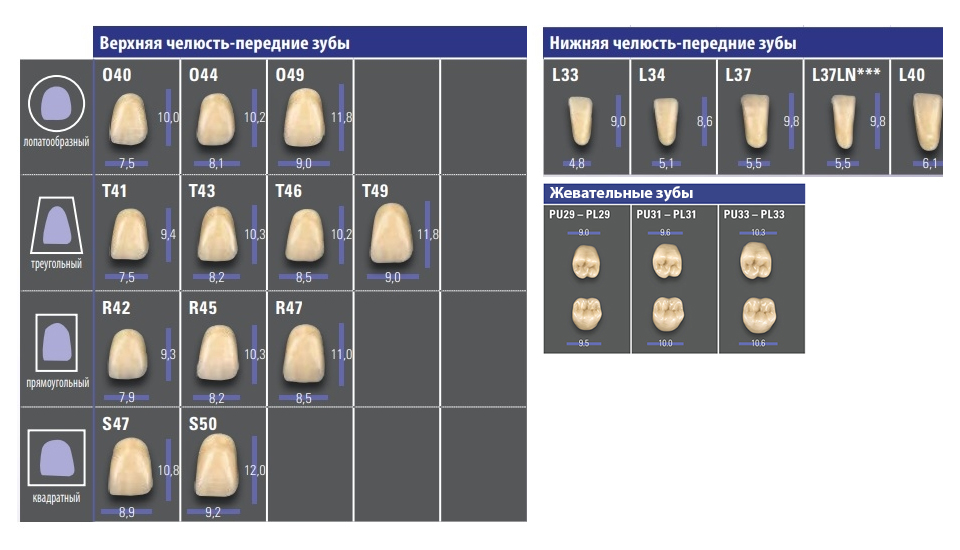 VITA MFT-формы-2